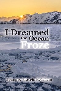 bokomslag I Dreamed the Ocean Froze