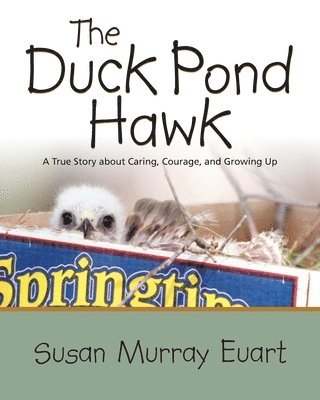 The Duck Pond Hawk 1