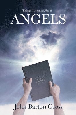 bokomslag Things I Learned About Angels