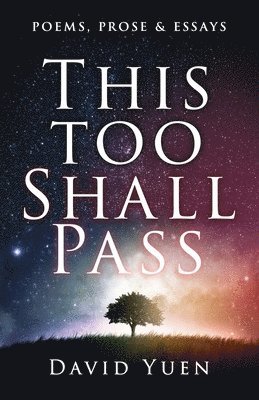 bokomslag This Too Shall Pass