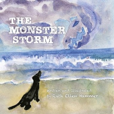 bokomslag Monster Storm