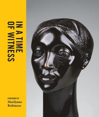 bokomslag In a Time of Witness