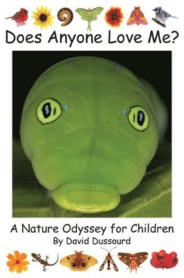 Does Anyone Love Me?