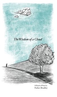 bokomslag The Wisdom Of A Cloud