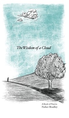 Wisdom Of A Cloud