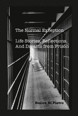 bokomslag Normal Exception