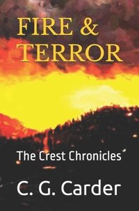 bokomslag Fire & Terror