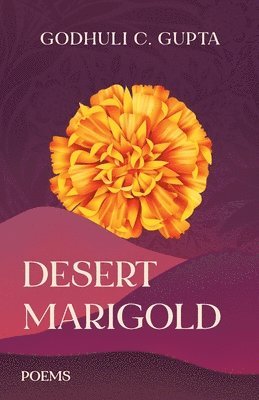 Desert Marigold 1