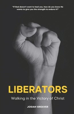 bokomslag Liberators