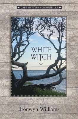 bokomslag White Witch
