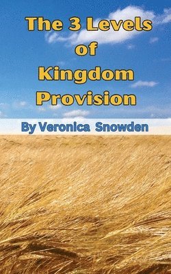 The 3 Levels of Kingdom Provision 1