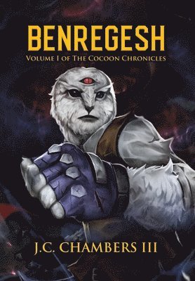 bokomslag Benregesh