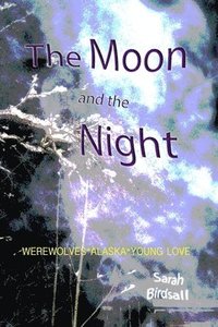 bokomslag Moon and the Night