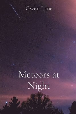 bokomslag Meteors at Night