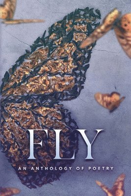Fly an Anthology of Poetry 1
