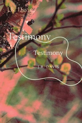 Testimony 1