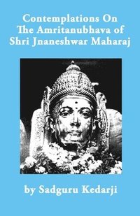 bokomslag Contemplations On The Amritanubhava of Shri Jnaneshwar Maharaj