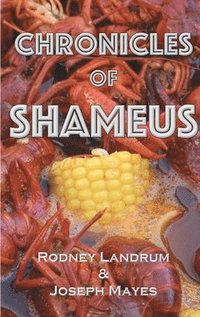 bokomslag Chronicles of Shameus