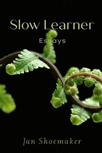 bokomslag Slow Learner