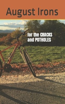 bokomslag for the CRACKS and POTHOLES in our lives