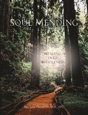 Julia Pferdehirt - Soul Mending, Häftad