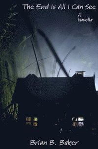 bokomslag End Is All I Can See