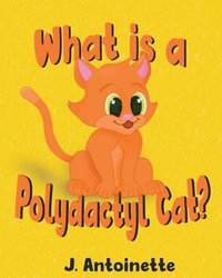 bokomslag What is a Polydactyl Cat?