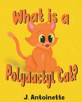 What is a Polydactyl Cat? 1