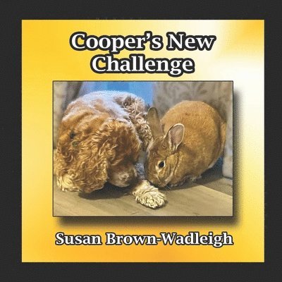 Cooper's New Challenge 1