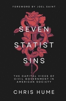 bokomslag Seven Statist Sins