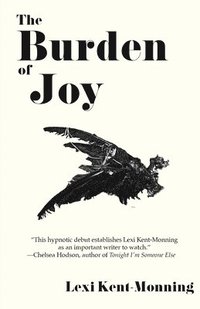 bokomslag Burden Of Joy