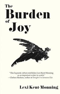 bokomslag The Burden Of Joy