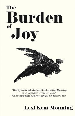 bokomslag Burden Of Joy