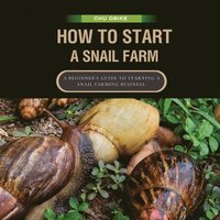 bokomslag How To Start A Snail Farm ( A beginner guide to African Giant Land Snails)