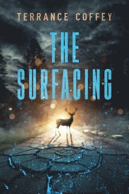 The Surfacing 1