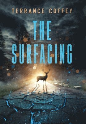 The Surfacing 1