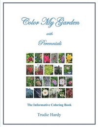 bokomslag Color My Garden with Perennials