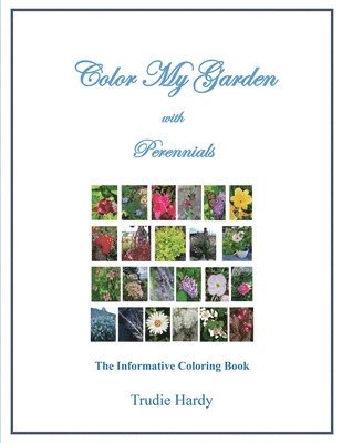 Color My Garden with Perennials 1