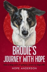 bokomslag Brodie's Journey With Hope
