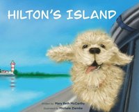 bokomslag Hilton's Island