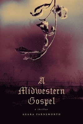 bokomslag A Midwestern Gospel