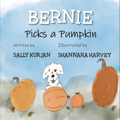 Bernie Picks a Pumpkin 1