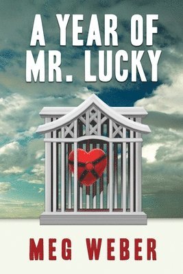 A Year of Mr. Lucky 1