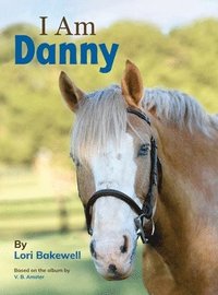 bokomslag I Am Danny