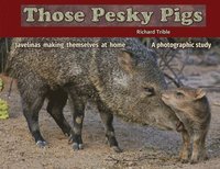 bokomslag Those Pesky Pigs