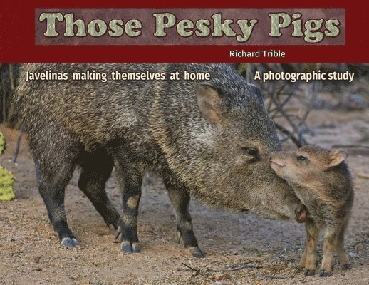 Those Pesky Pigs 1