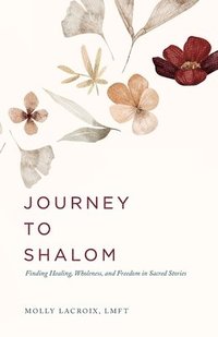bokomslag Journey to Shalom