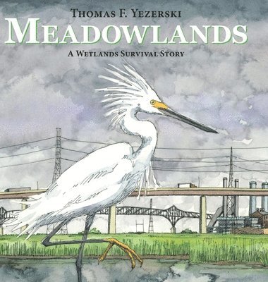 bokomslag Meadowlands