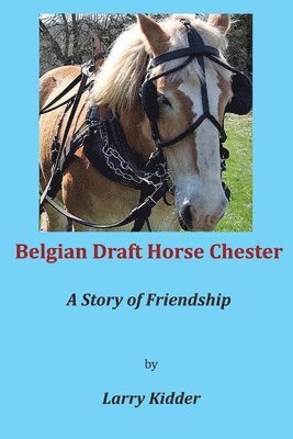 bokomslag Belgian Draft Horse Chester