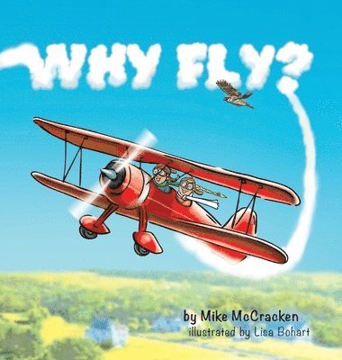 bokomslag Why Fly